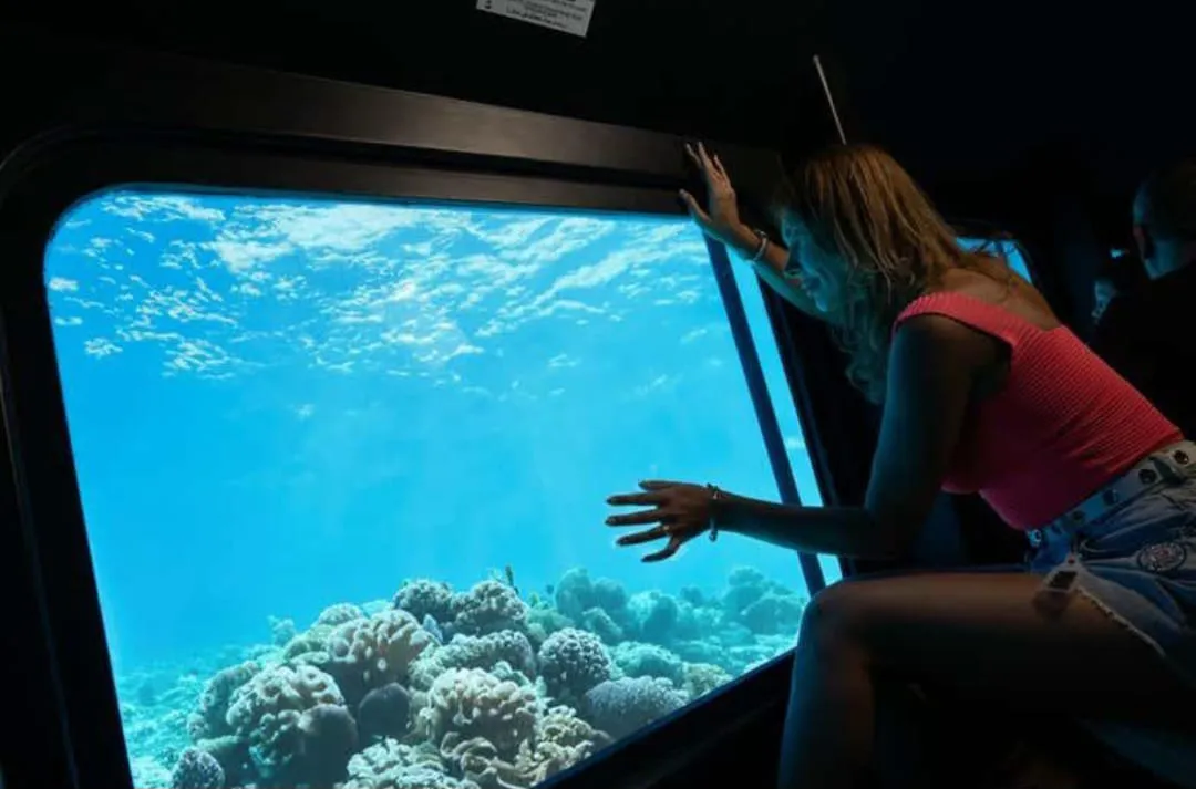 🚤🌊 Sea Scope Semi-Submarine Trip – Marsa Alam 🐠🪸 Sea Scope semi Submarine /IMG-20260702-WA0246.jpg